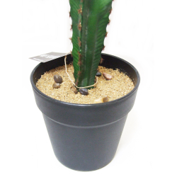 Kaktus dekoracyjny Potrójny 45cm
